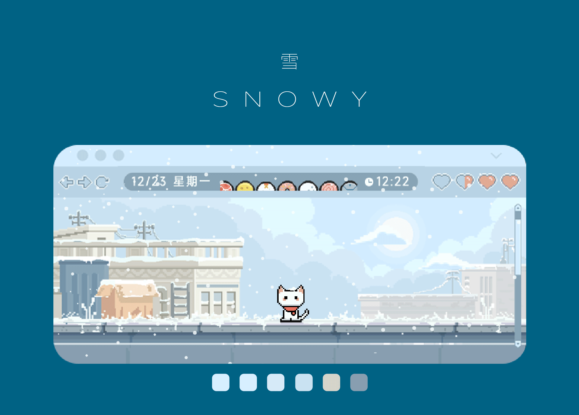 小米小部件比赛/来看看流浪猫们