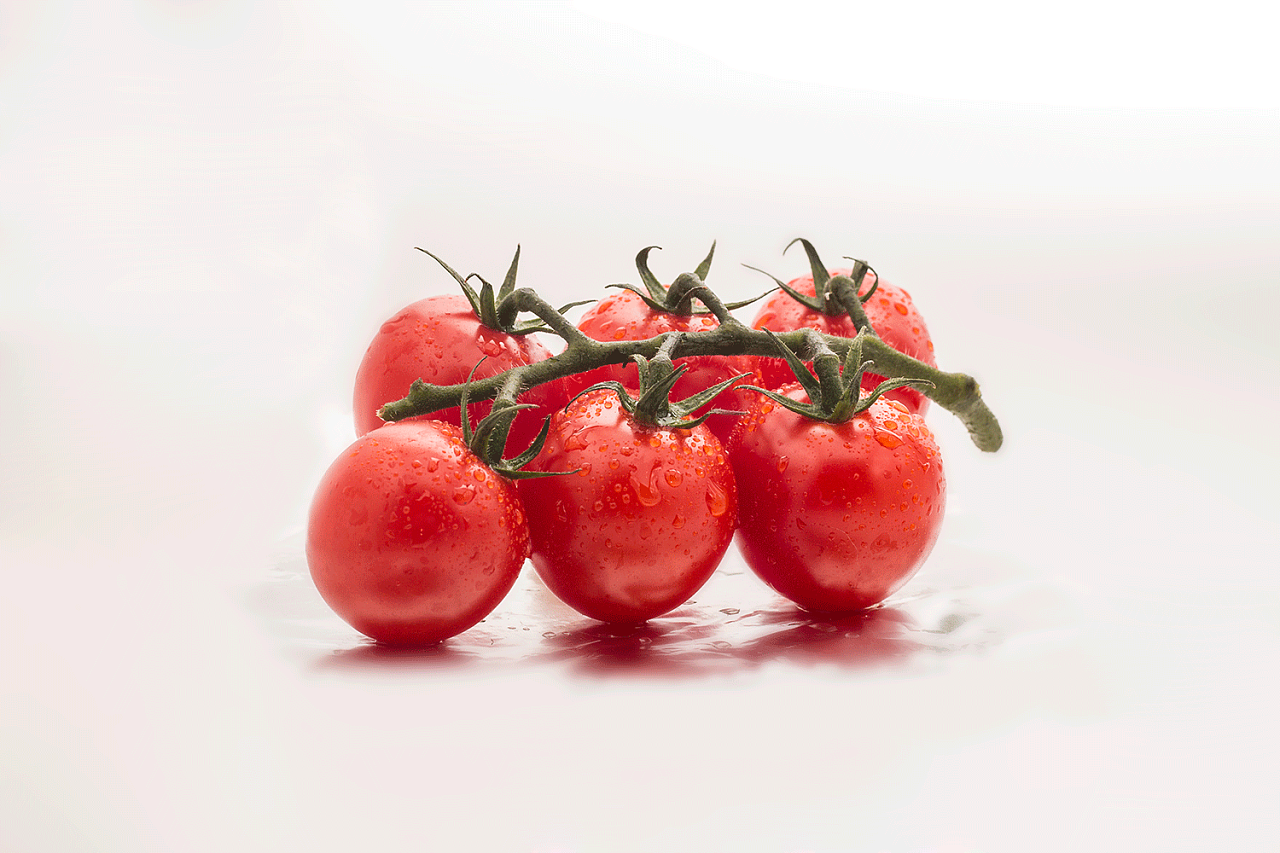 圣女果和西红柿的区别 - 花百科
