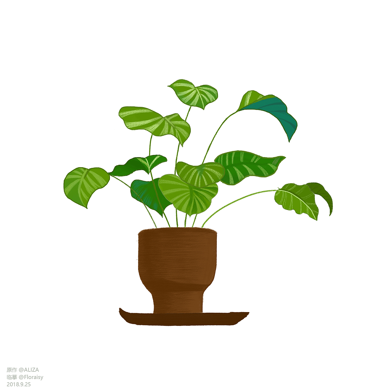 第二幅自学板绘插画习作:临摹盆栽——第一次完整地画完一盆植物,现在