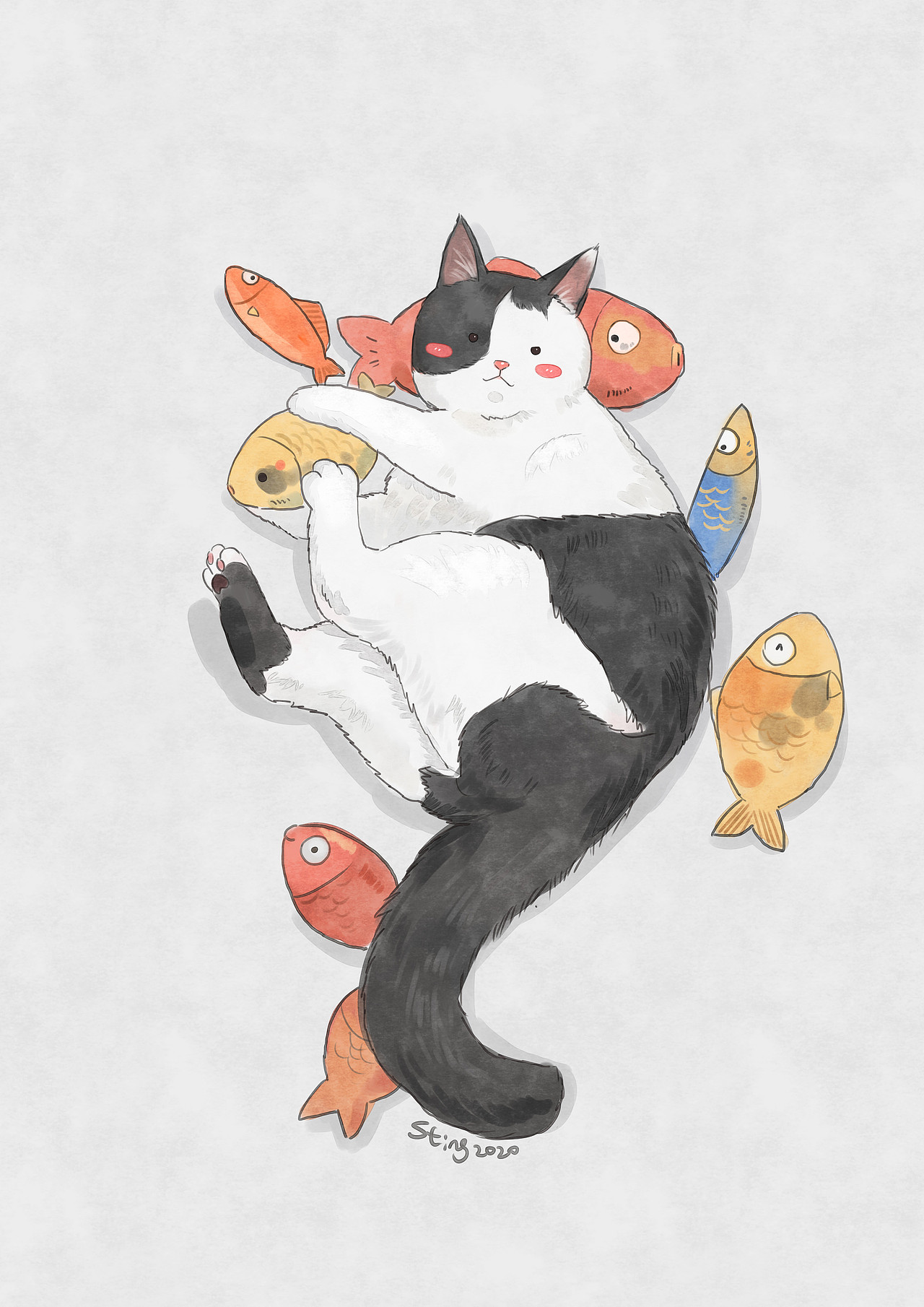 一只叫墨子的猫