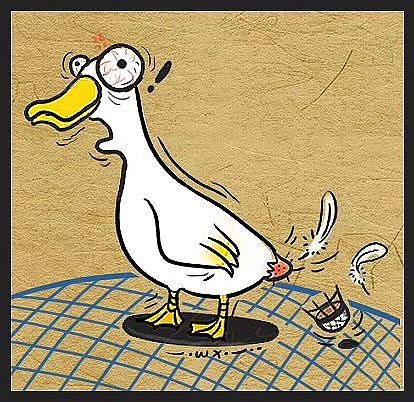 没球打的不知第几天鸭