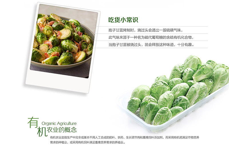 生鲜电商 蔬菜类详情页 - 抱子甘蓝