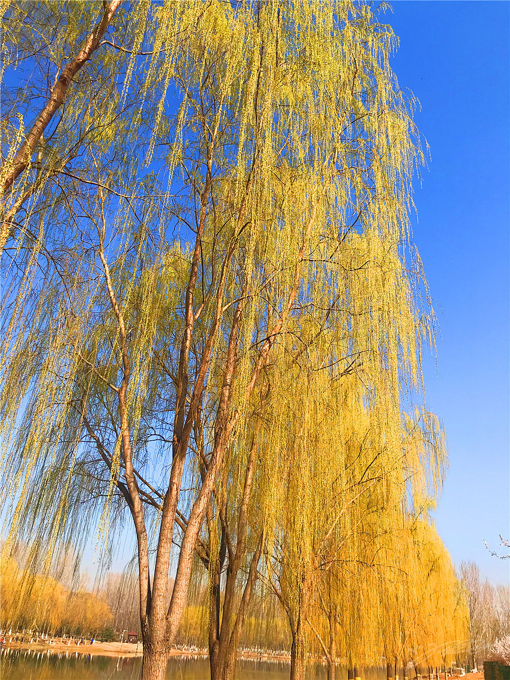 刘勇良纪实摄影:柳依依