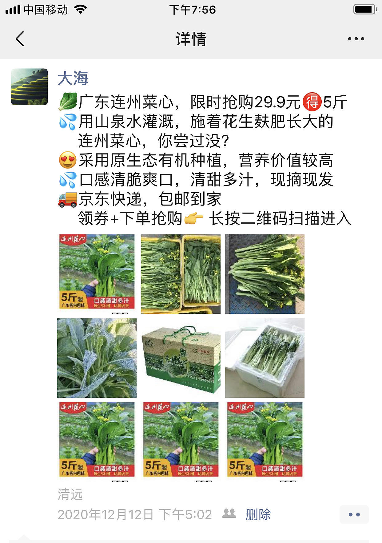 连州菜心品牌推广（图ZMjUwNjA0NjYw） - 品牌 - 站酷设计师张贤杪原创素材 - 站酷ZCOOL