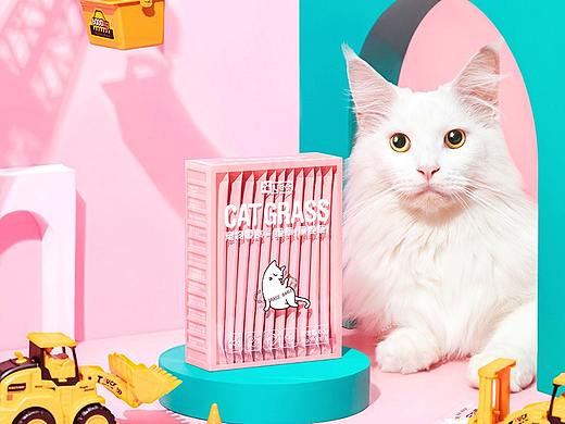 最近都是些猫猫狗狗仓鼠