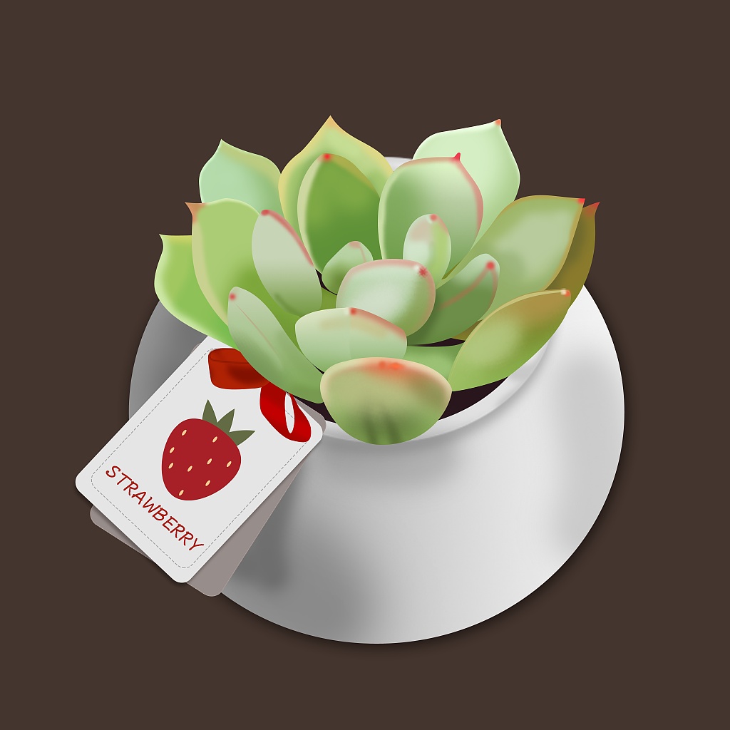 可爱肉嘟嘟植物