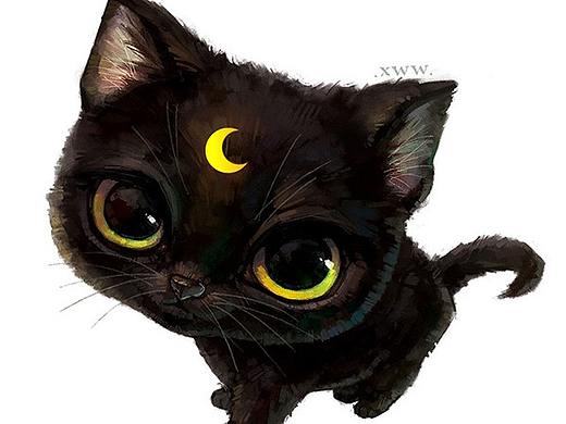 【萌宠by雪娃娃】小黑猫