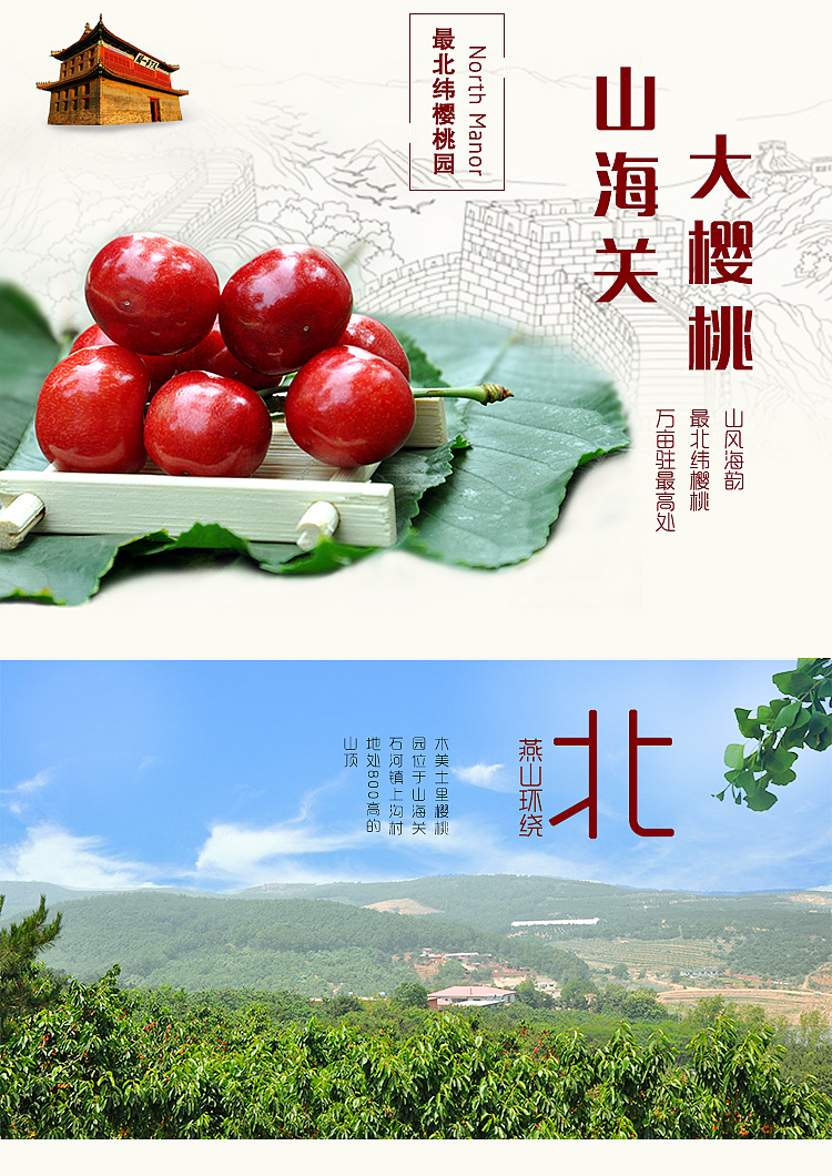 自己拍照自己编辑出水果详情页（图ZNTAzNTUwMDg=） - 电商 - 站酷设计师SugarNO1原创素材 - 站酷ZCOOL