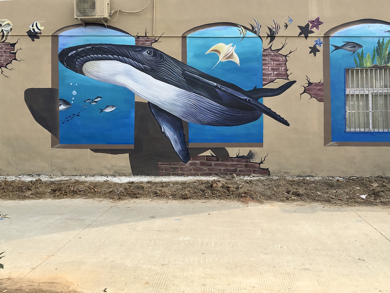 郑州米罗墙绘  鲸鱼立体画
