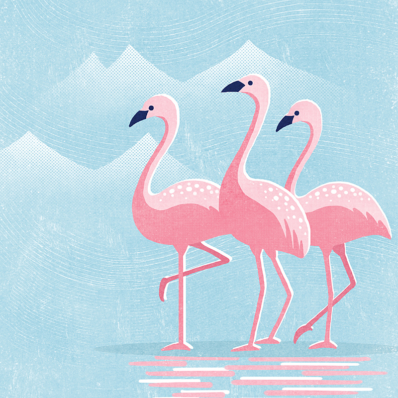 原创作品插画艺术插画火烈鸟画绘画清新圣诞节插画711配色ya7iii怡然