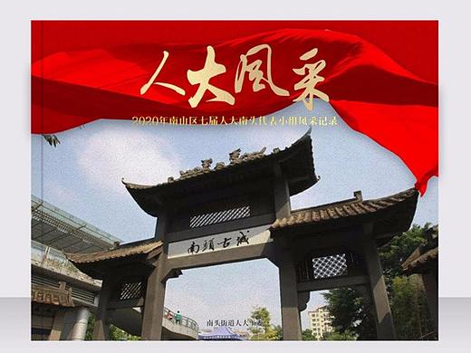 政府画册设计-深圳VI设计-深圳画册设计-智睿品牌