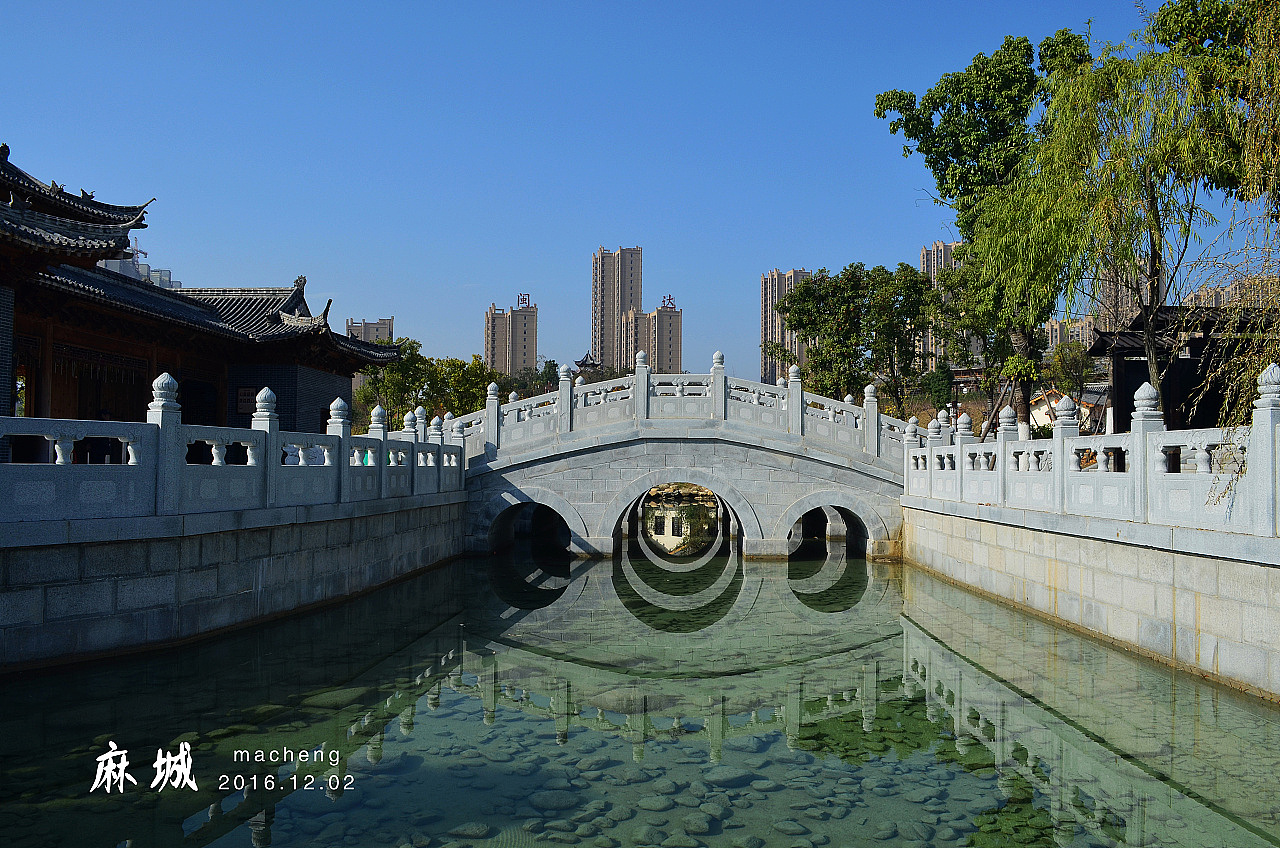 问君祖籍在何方?湖广麻城孝感乡!