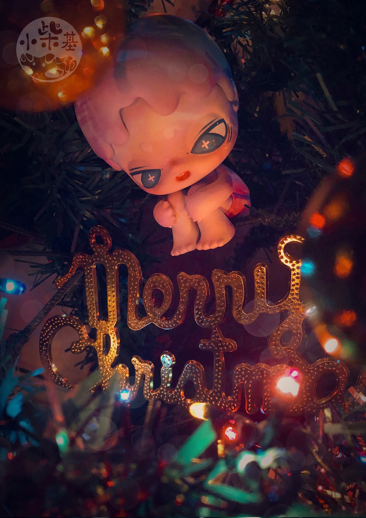 小柴基 ┃《圣诞节——长不大的梦》