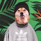 未知素的头像