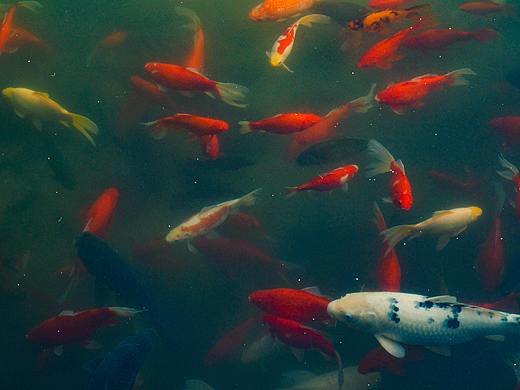 小动物们（个人主页-ZNTA5MTYxMjA=） - 风光摄影 - 站酷设计师脖几LuLinda原创素材 - 站酷ZCOOL