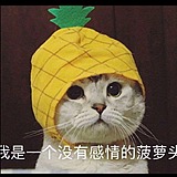 媛媛媛媛的夏天的头像