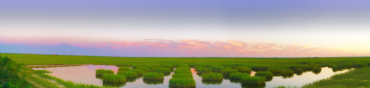 公共艺术设计介入辽河口红海滩旅游区Ⅰ（图ZMjcyNTU4MzE2） - 景观设计 - 站酷设计师希未设计原创素材 - 站酷ZCOOL