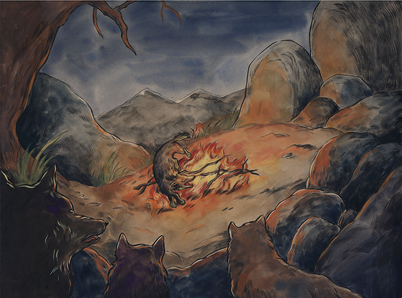 狼王梦连环画上册