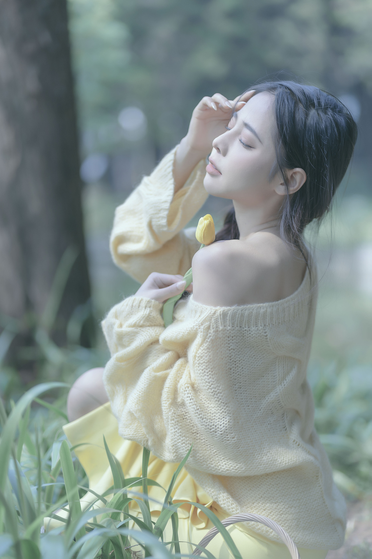 树林发现可爱精灵