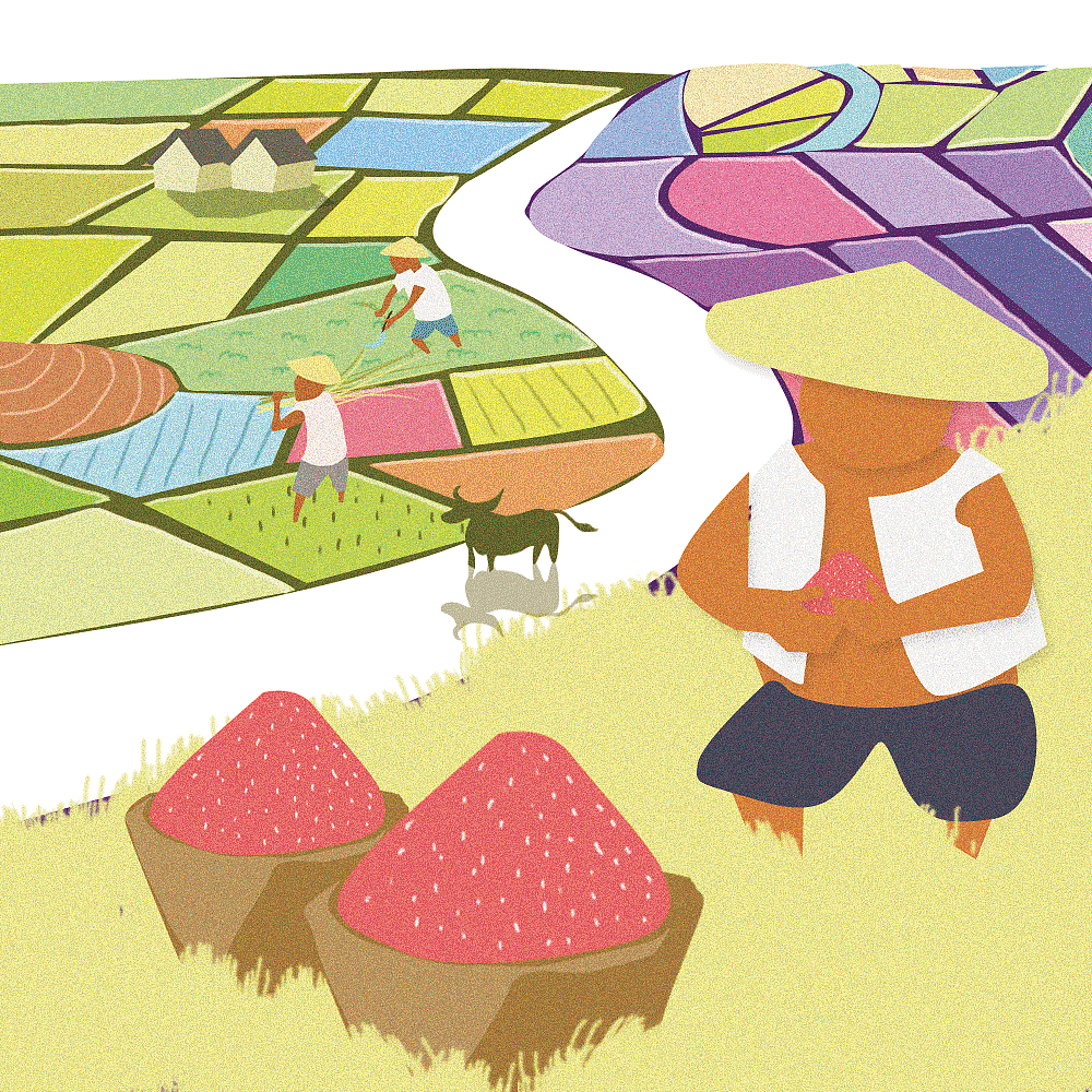 农业插画（图ZMTcyMTY4OTQw） - 商业插画 - 站酷设计师张禹biubiubiubiu原创素材 - 站酷ZCOOL