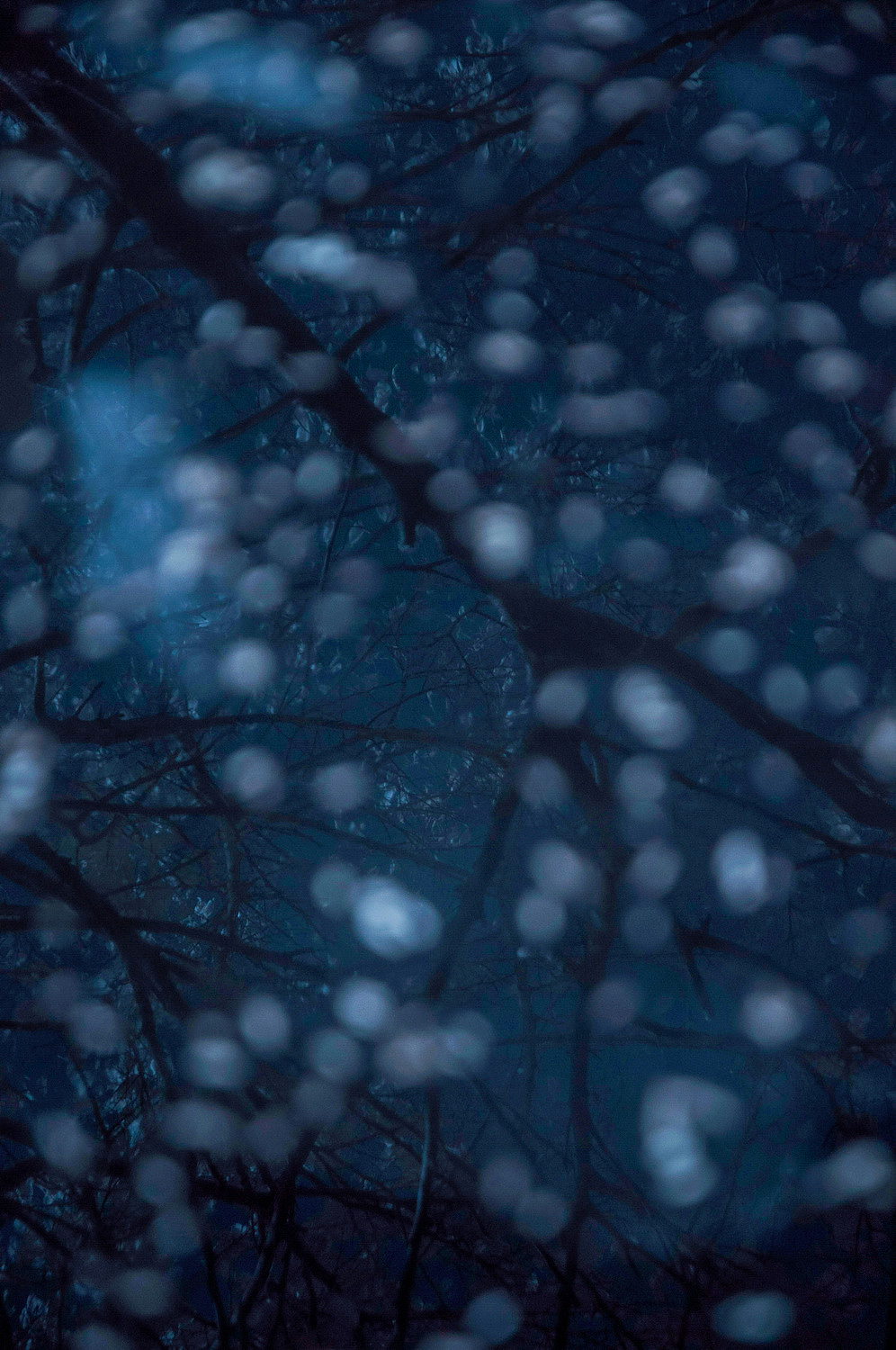 假如深圳下雪了