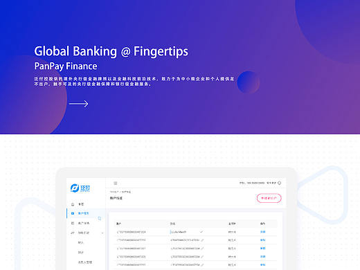 PanPay 网银账户管理系统