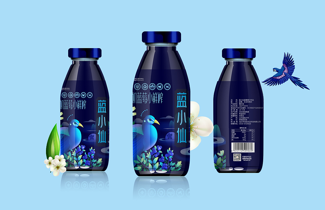 蓝小仙蓝莓果汁品牌策划包装设计