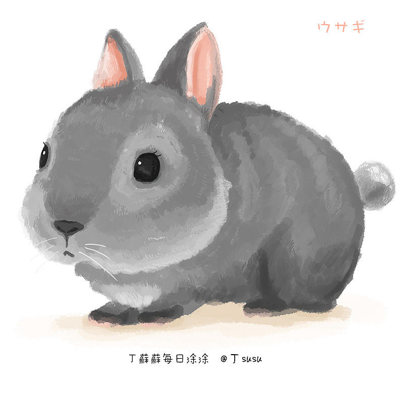 原创作品:[兔子的水粉质感ps过程]