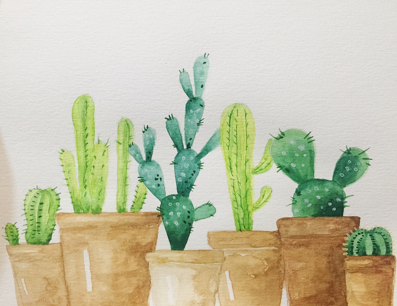 仙人掌（圖ZNjEwMDE2MjA=） - 創(chuàng)作習(xí)作 - 站酷設(shè)計(jì)師Kor可樂(lè)兒原創(chuàng)素材 - 站酷ZCOOL