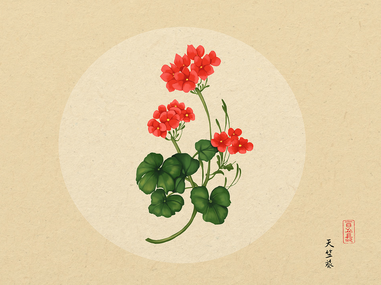 植物插画