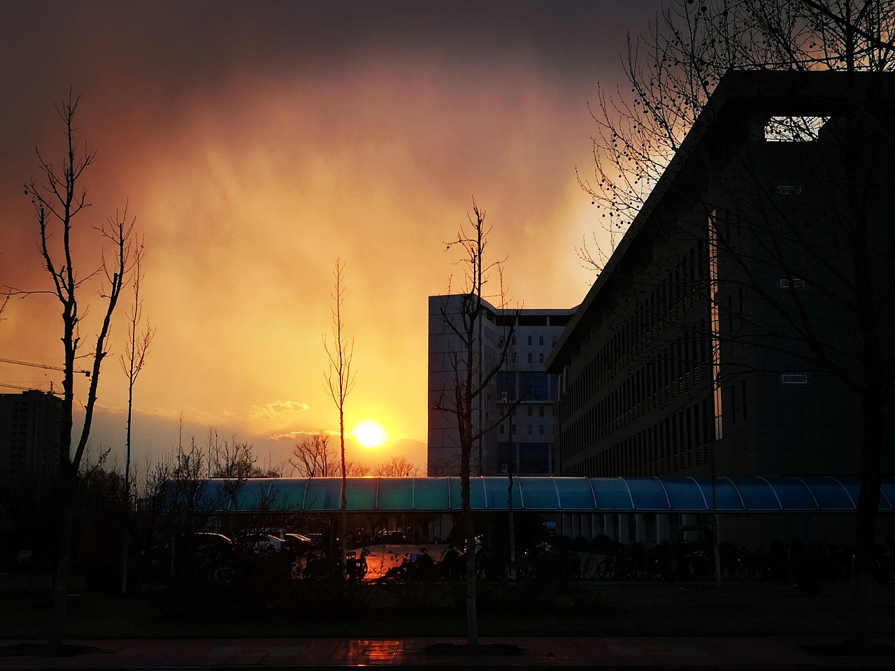 美丽的潍坊科技学院