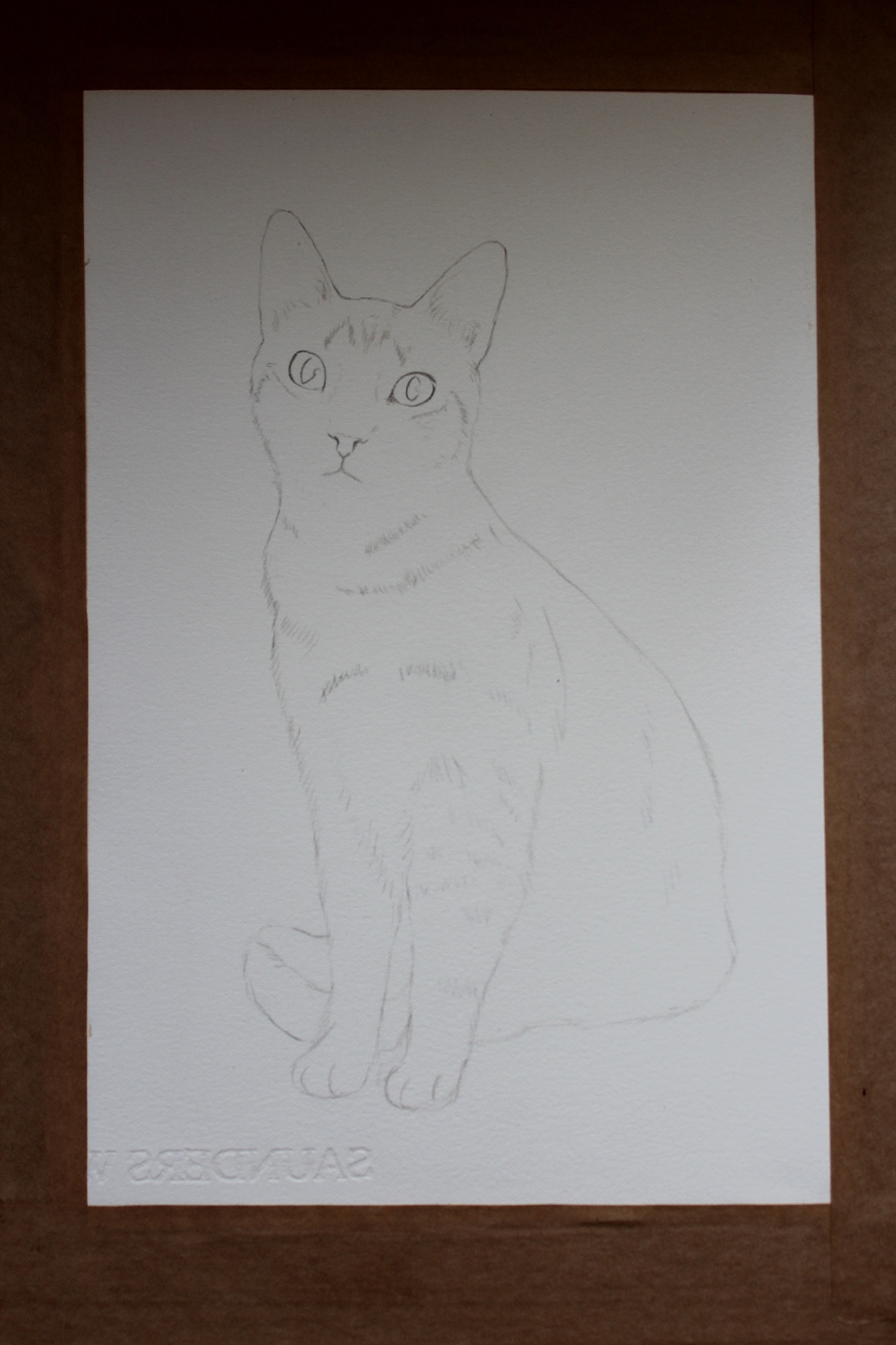 小花猫戏鼠简谱_小花猫和小老鼠简谱