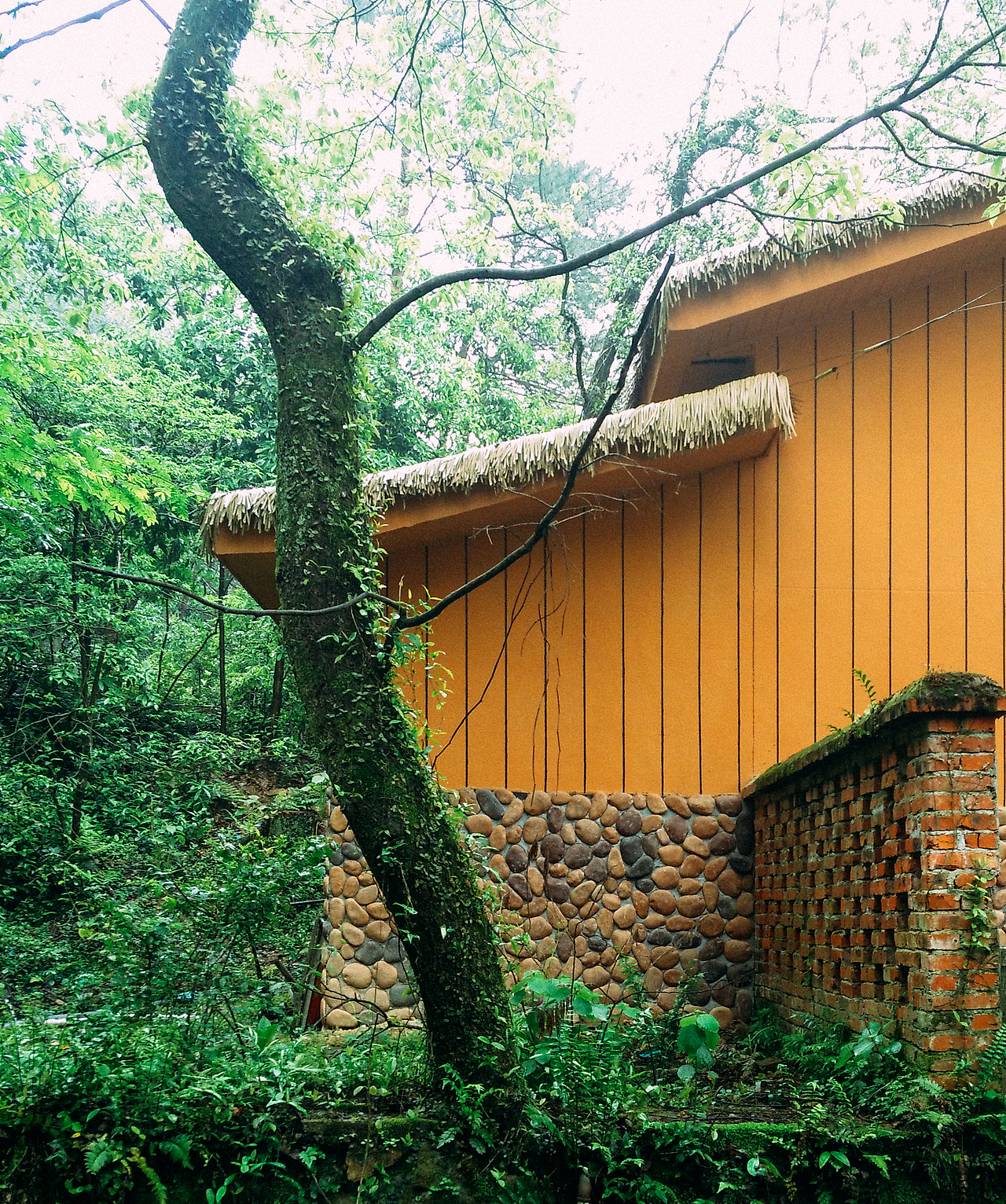 《关于春天的故事》