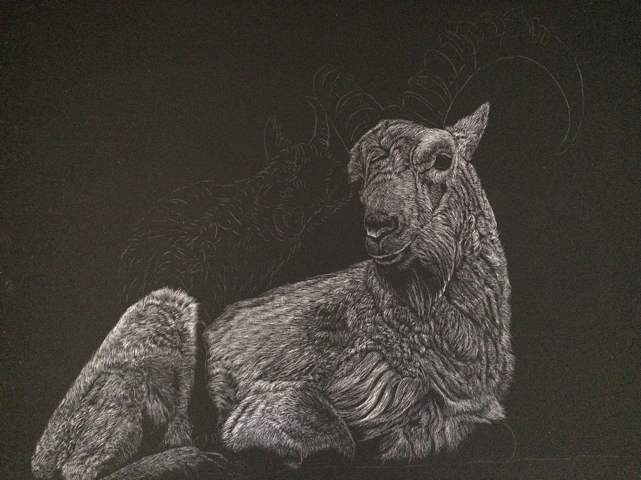 李子哥刮画作品《羊羊得意》（图ZMTU1MzUwMzE2） - 绘画 - 站酷设计师李子哥原创素材 - 站酷ZCOOL
