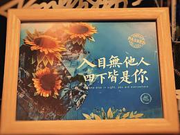太空员&冰封向日葵壁纸设计