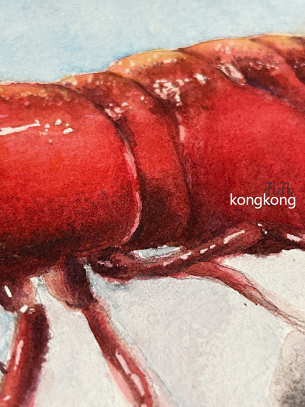 水彩写实极火虾水彩画（图ZMjg3NjE3ODk2） - 绘画 - 站酷设计师kongkonghc原创素材 - 站酷ZCOOL