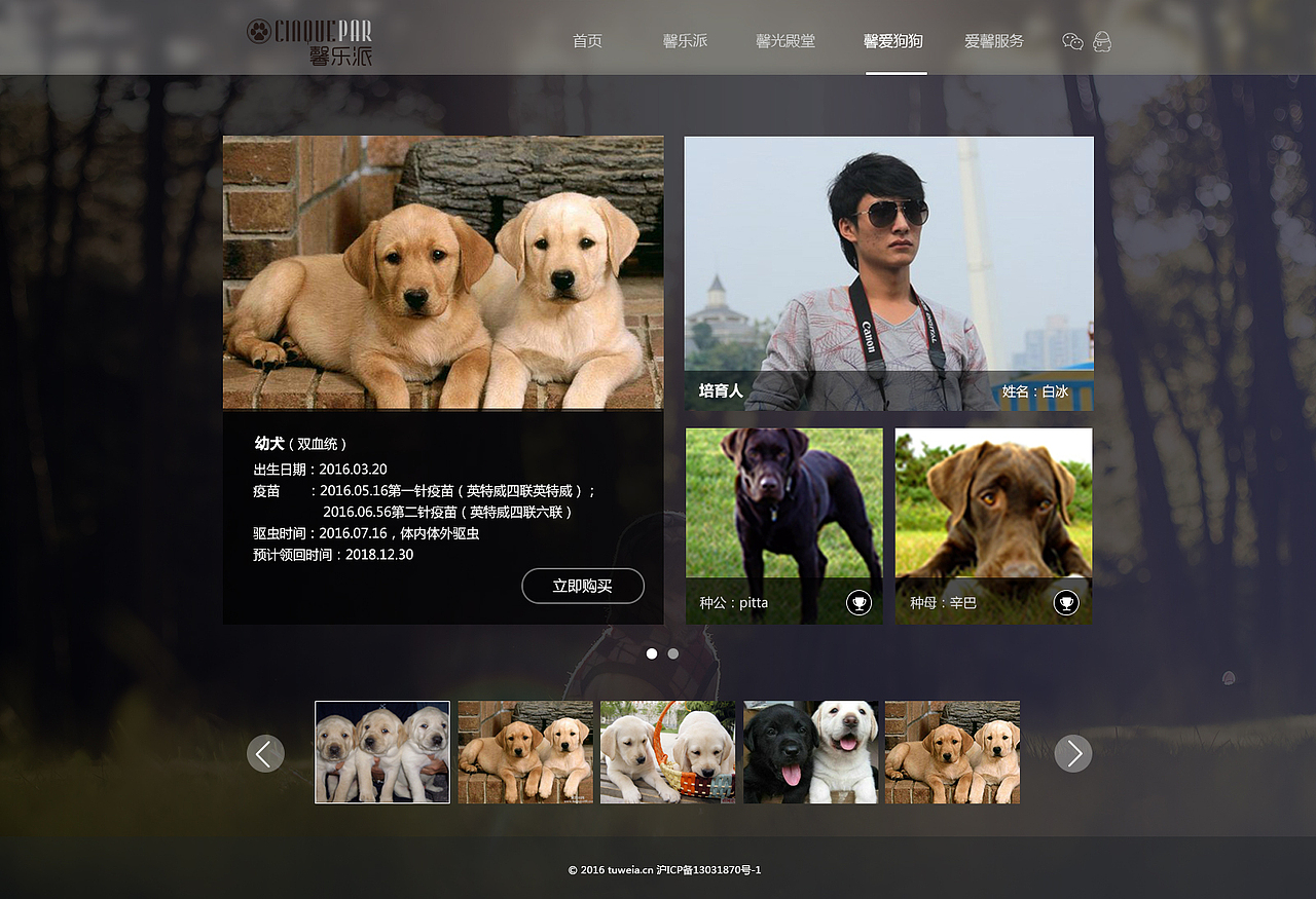 宠物网站—《馨乐派》狗狗俱乐部（图ZNDc3NTE0NDQ=） - 门户网站 - 站酷设计师bing9118_白冰原创素材 - 站酷ZCOOL