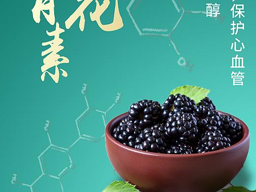 黑莓营养元素宣传