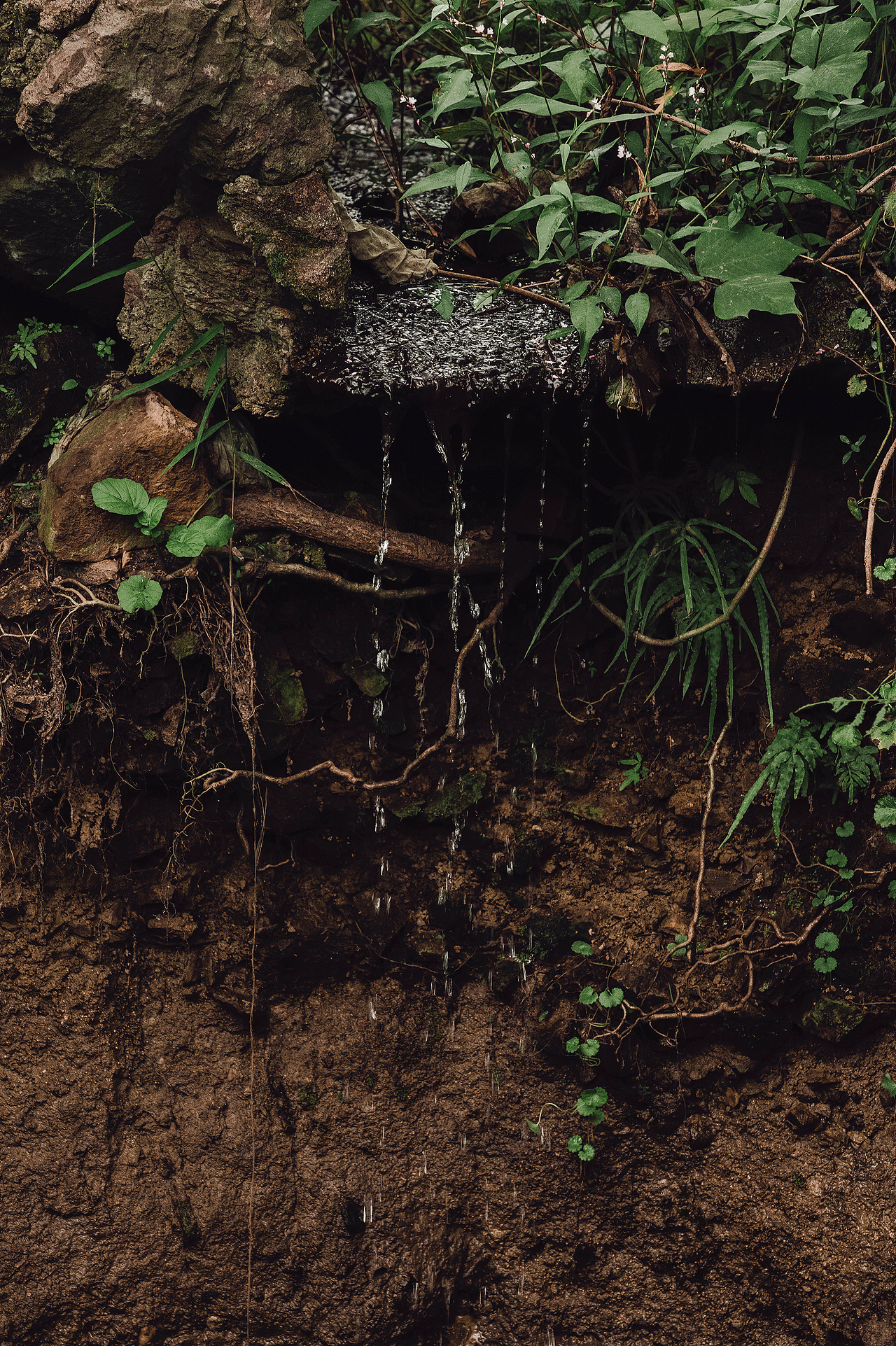 随处可见的农村场景（图ZMjI3MTIyNzky） - 人文/纪实摄影 - 站酷设计师我有条狗叫汤圆原创素材 - 站酷ZCOOL
