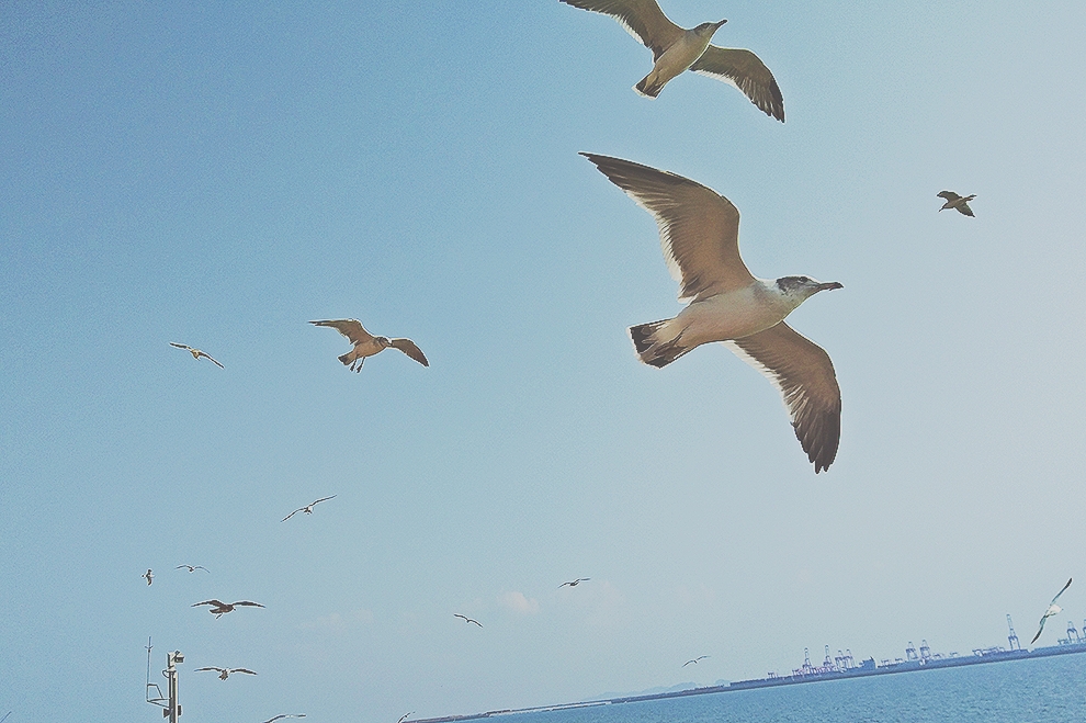 光怪的个人主页（封面预览） - 主页封面设置 - 站酷设计师光怪原创素材 - 站酷ZCOOL