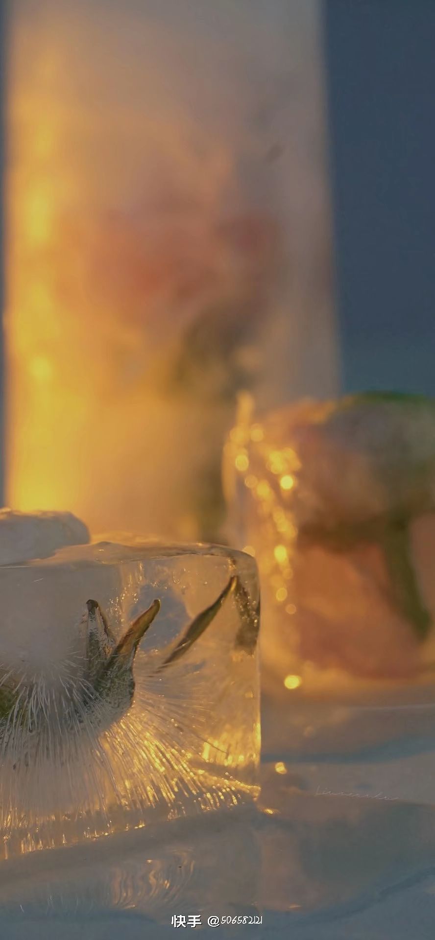 美丽的风景,最值得我们观赏!!