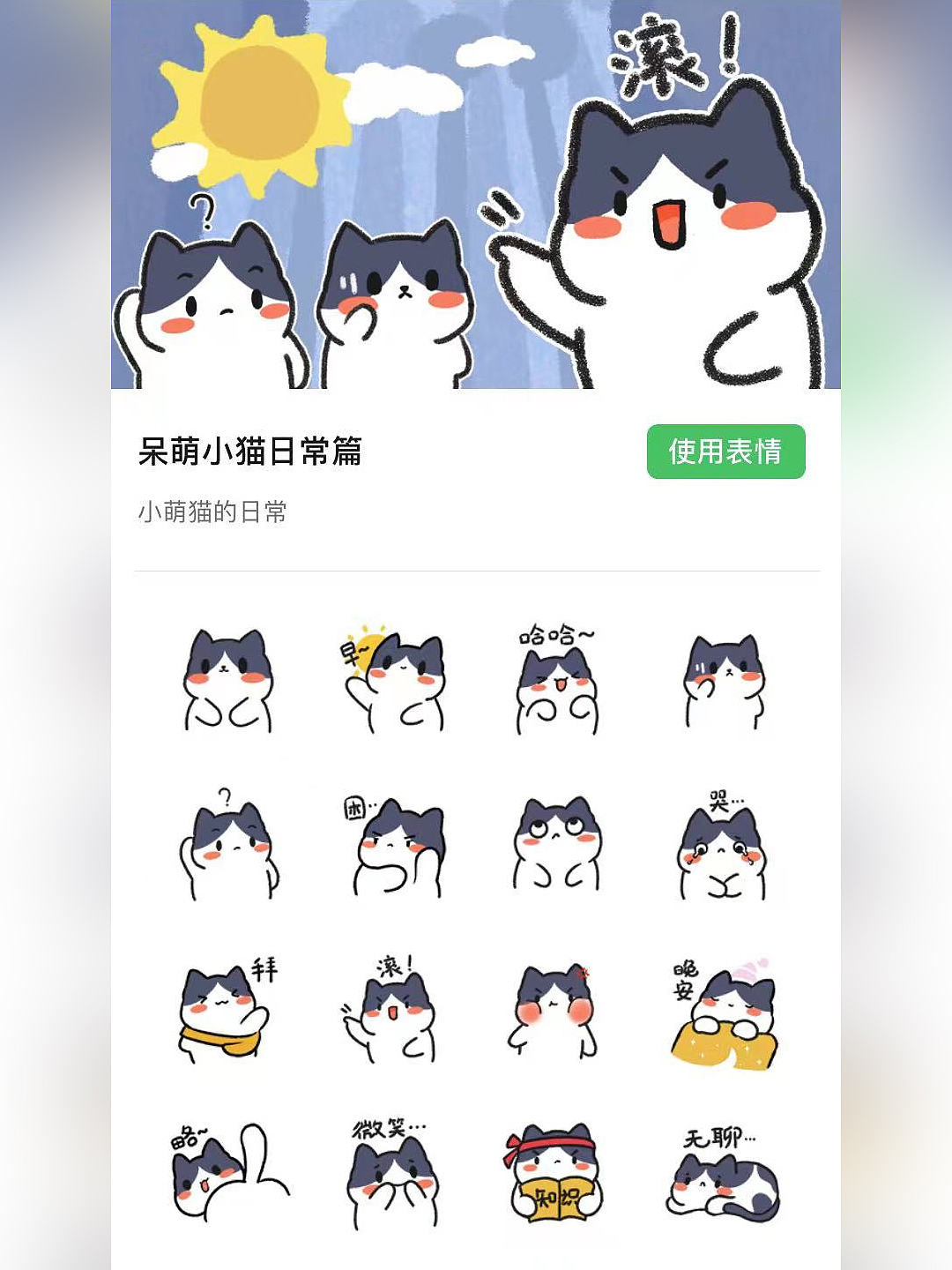 呆萌小猫表情包 | 日常篇