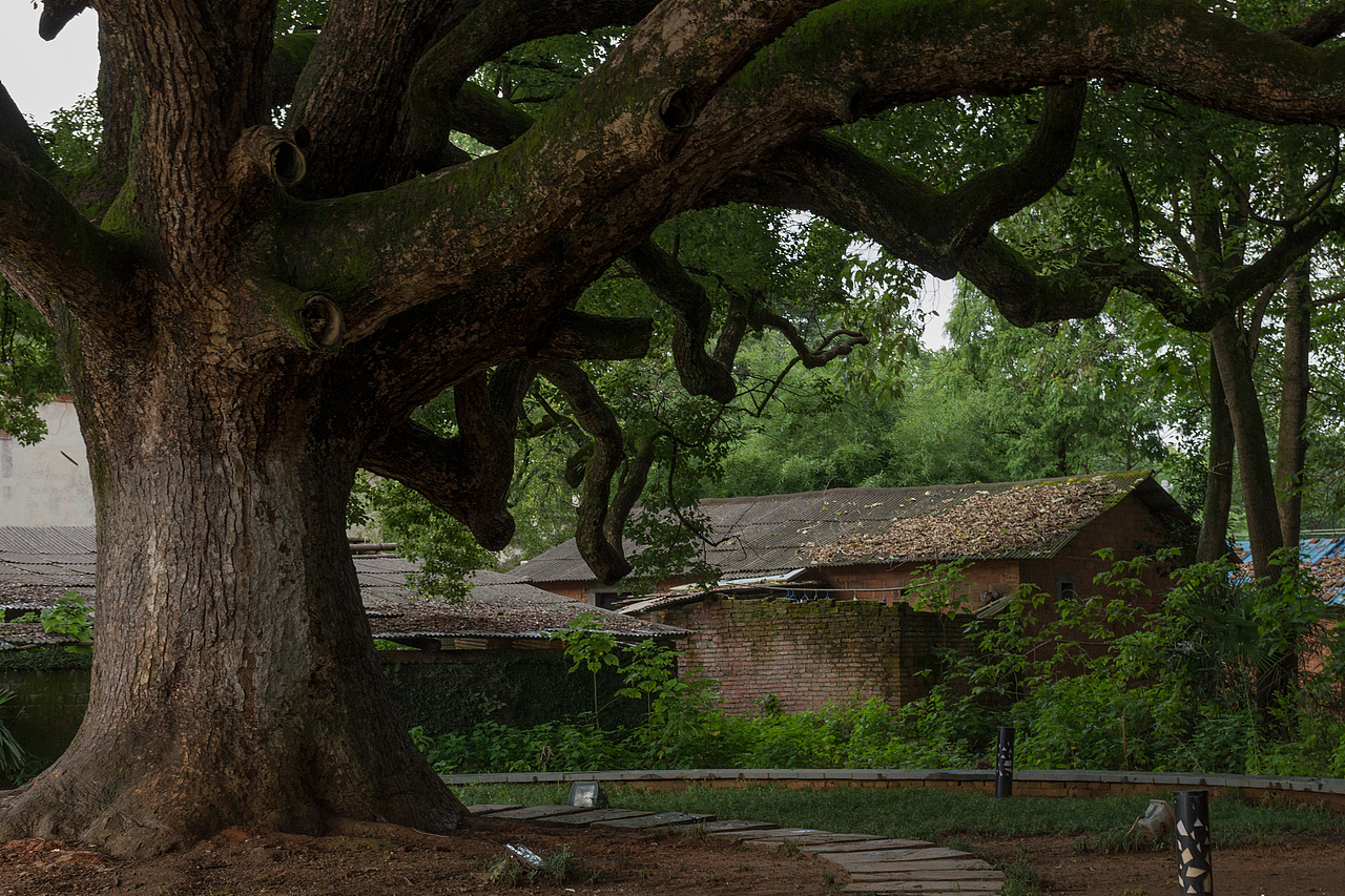 合成作品（图ZMTA2NTI5OTgw） - 海报 - 站酷设计师zhoupop原创素材 - 站酷ZCOOL