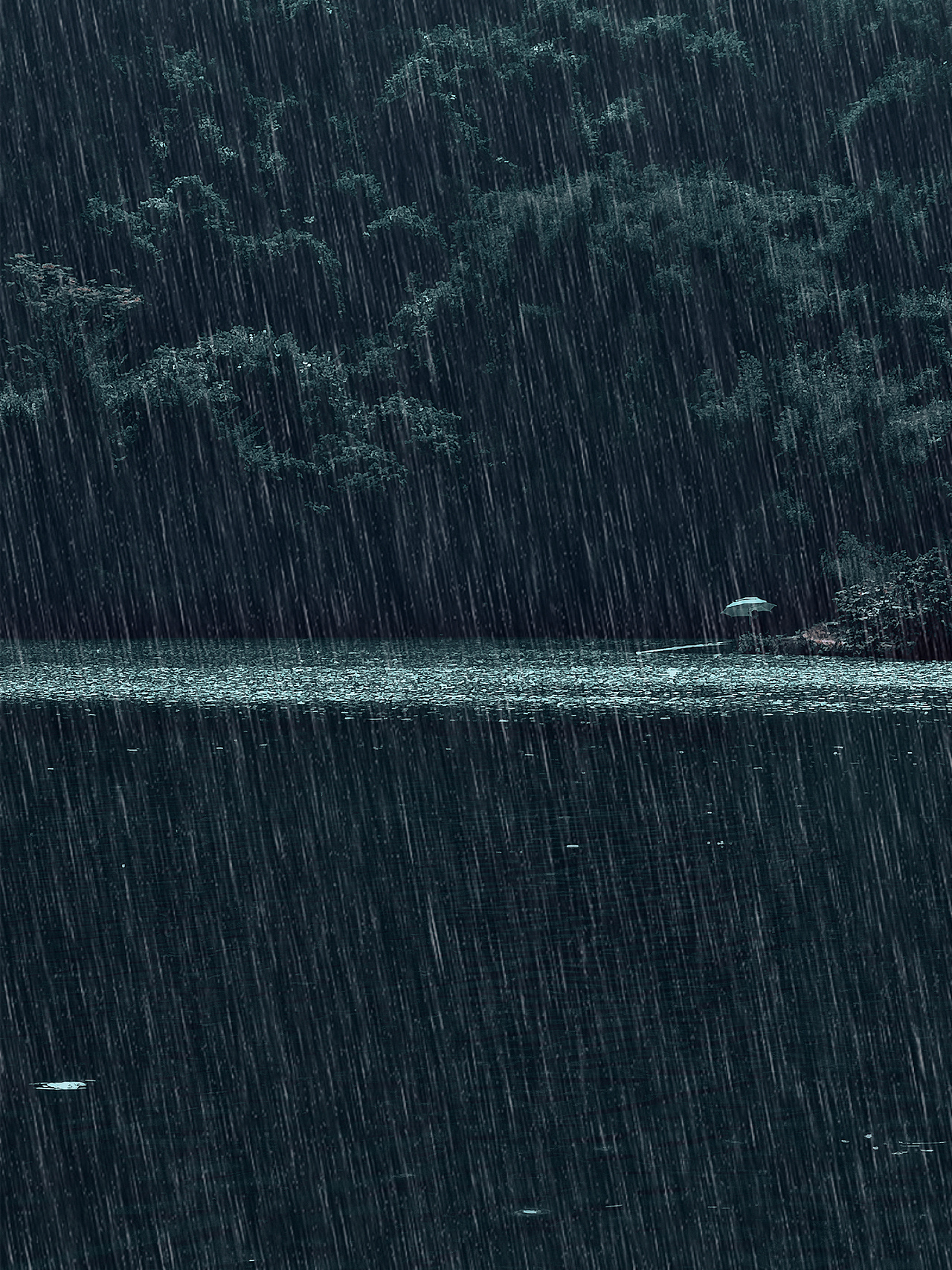 2019的一些照片（图ZMTkxODA3MDcy） - 人文/纪实摄影 - 站酷设计师当年时光原创素材 - 站酷ZCOOL