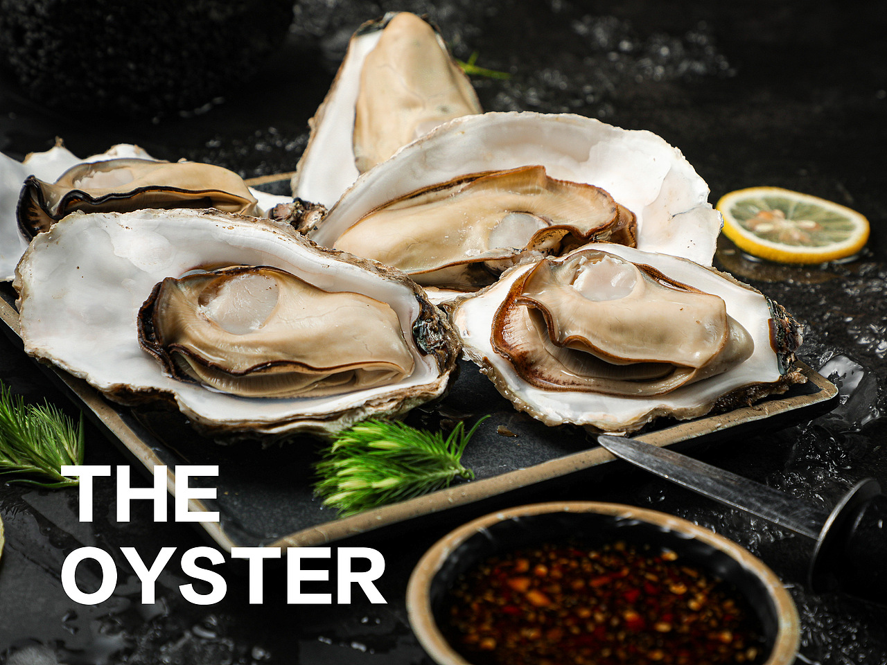 生蚝（图ZMzAzMzM0MzUy） - 美食摄影 - 站酷设计师阿司先生原创素材 - 站酷ZCOOL