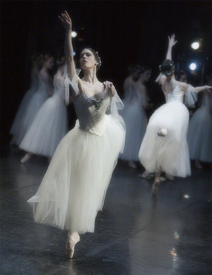 一组婚纱芭蕾海报素材分享|法式古典