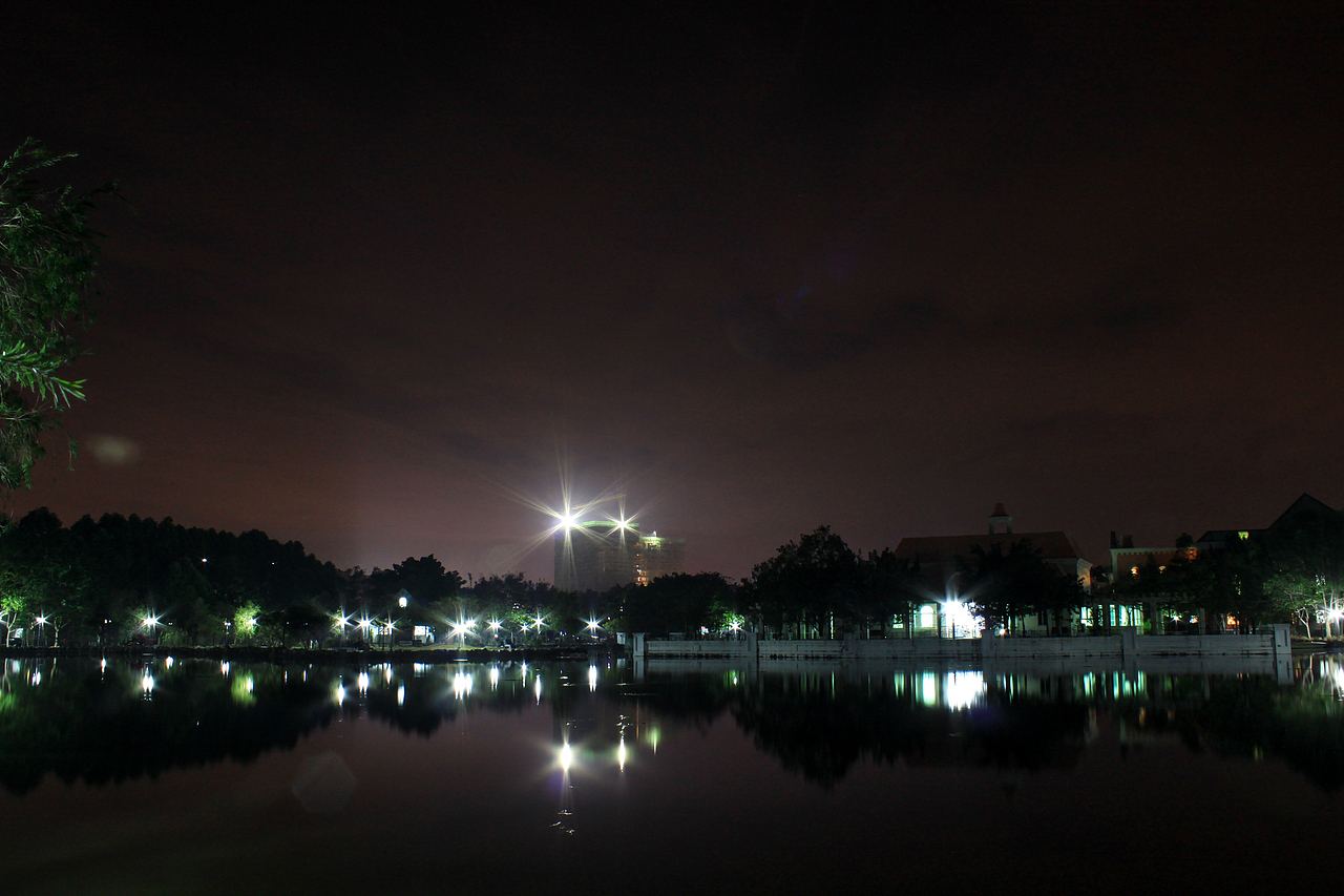 广州大学华软软件学院丝木棉盛开