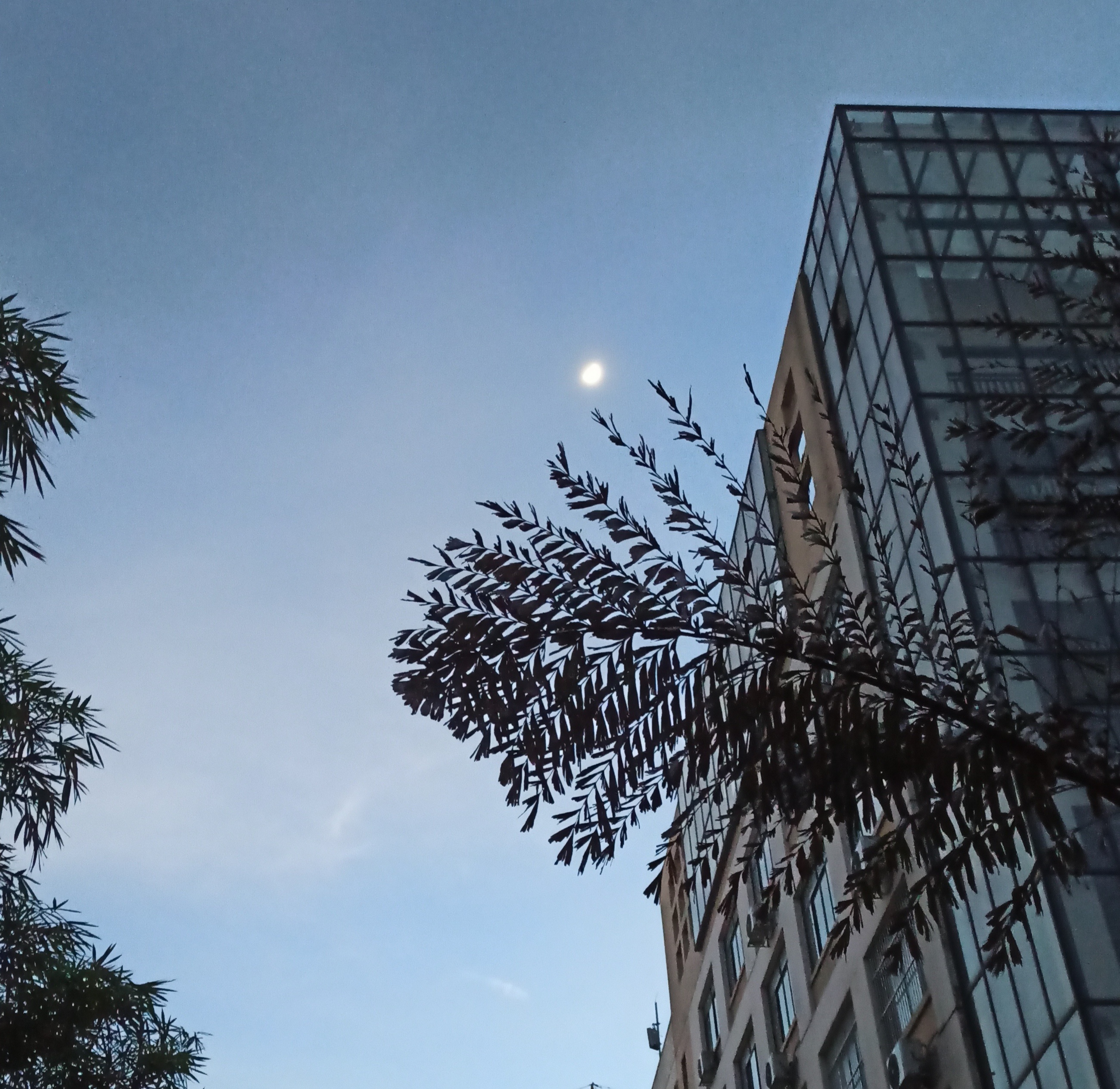 傍晚|摄影|环境/建筑摄影|小美和图图 - 原创作品 - 站酷 (zcool)