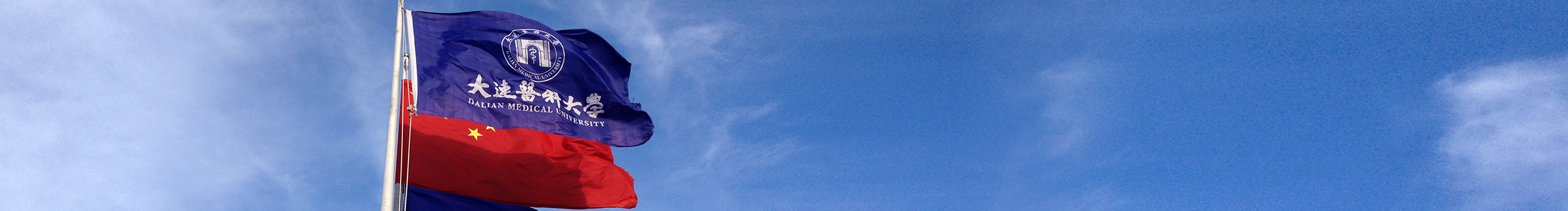 椒盐与刘立伟设计的个人主页（封面预览） - 主页封面设置 - 站酷设计师椒盐与刘立伟设计原创素材 - 站酷ZCOOL