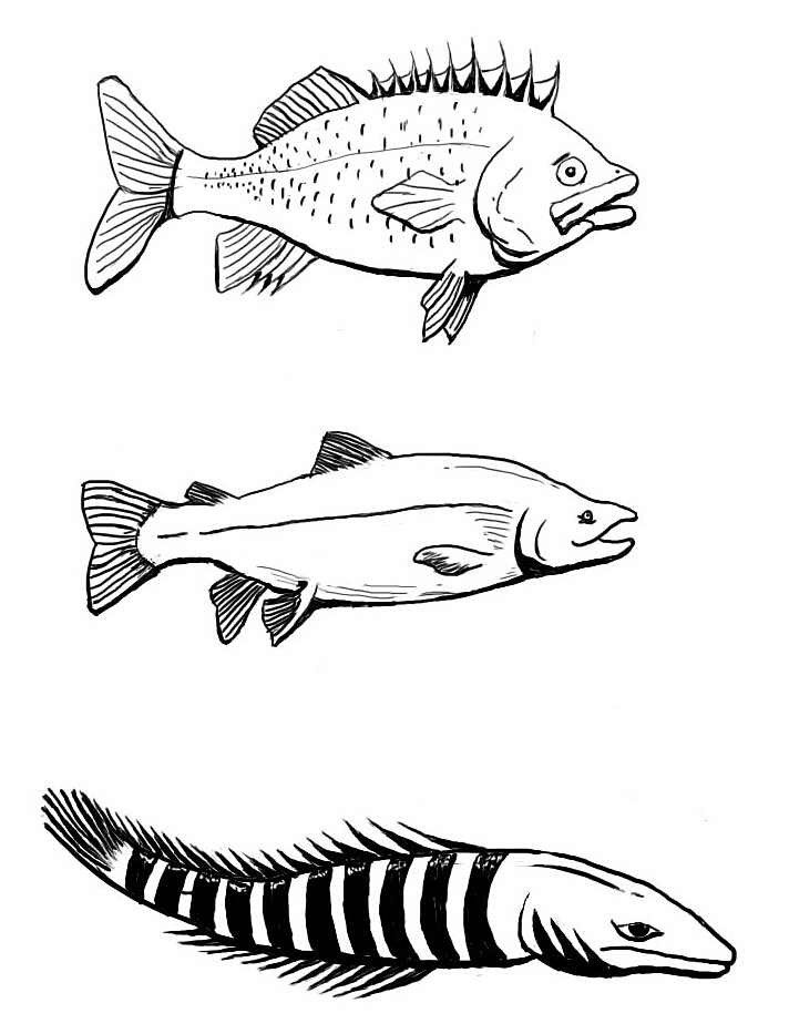 初学手绘|插画|创作习作|小鱼到此一游_原创作品-站酷zcool